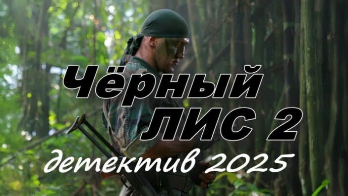 Криминальный боевик Чёрный лис 2 (2025)
