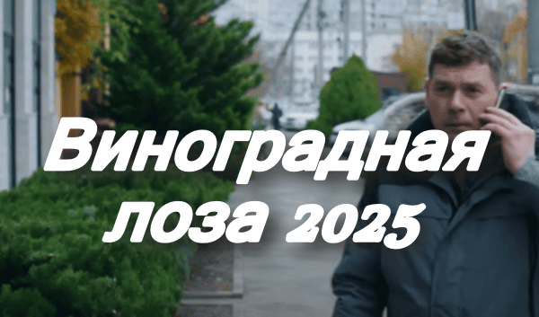 Виноградная лоза / Детектив 2025