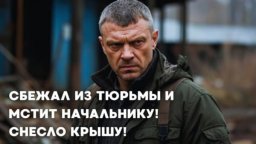 Дикие псы / боевик (2025)